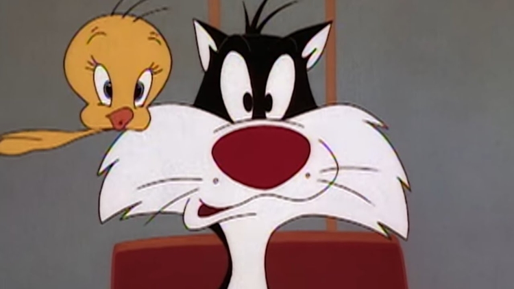 Cartoon The Sylvester & Tweety Mysteries Filler List Full Episodes